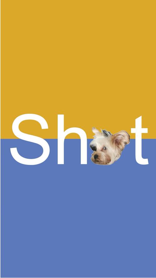 shit什么意思_屎英文解釋_shit中文意思