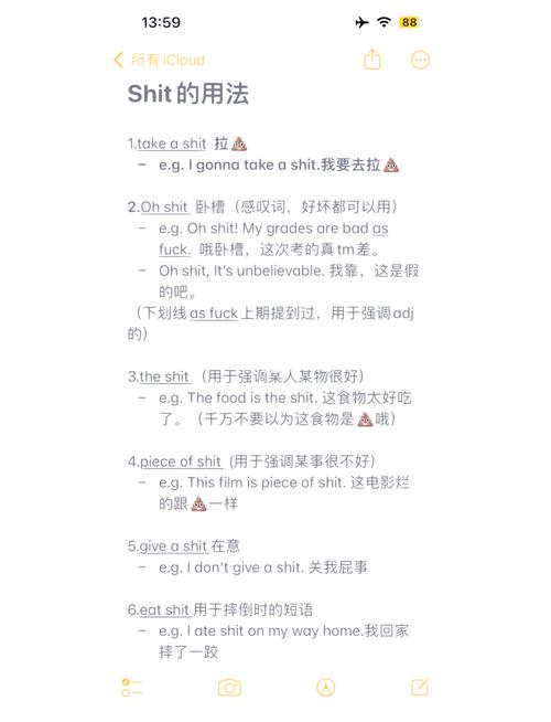 shit什么意思_shit中文意思_屎英文解釋
