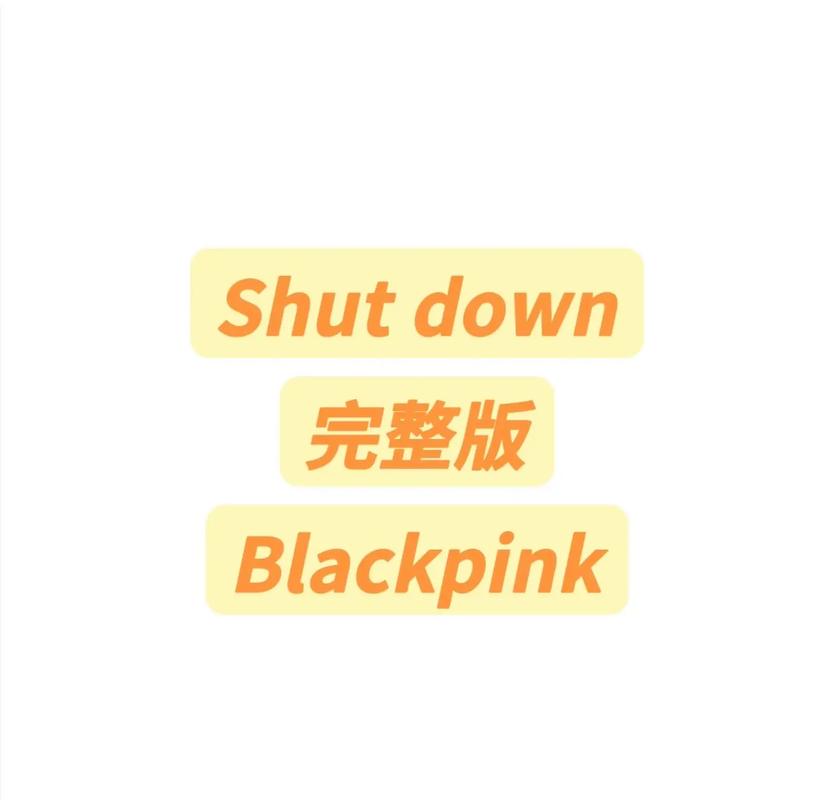 shutdown是什么意思_shutdown command usage in Windows_shutdown meaning in English