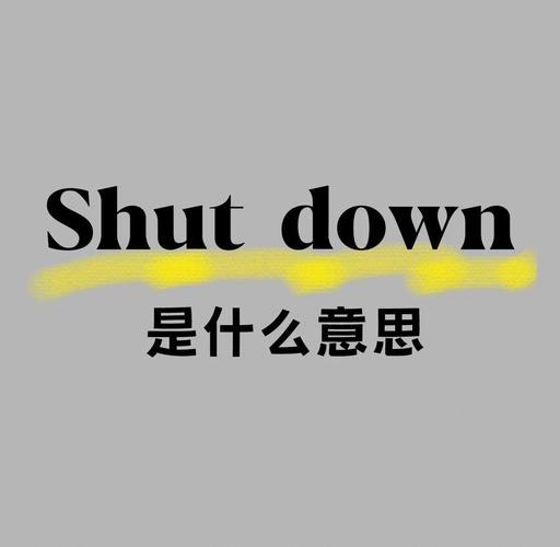 shutdown是什么意思_shutdown command usage in Windows_shutdown meaning in English