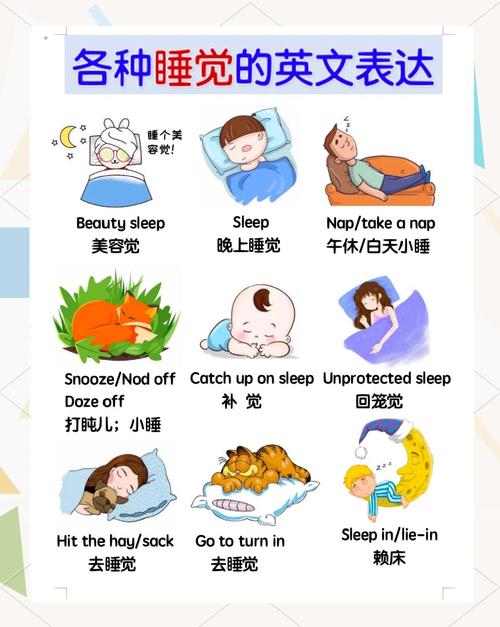 go to sleep vs go to bed_sleep什么意思英語_hit the bed hit the hay