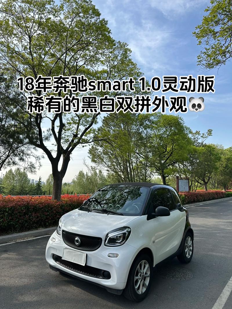smart什么意思_smart adjective meaning_smart car brand history