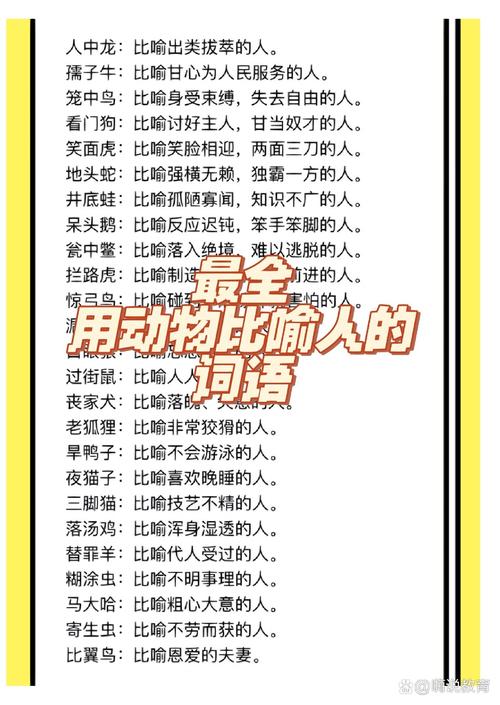 squirrel是什么意思_funny animal idioms_animal idioms expressions