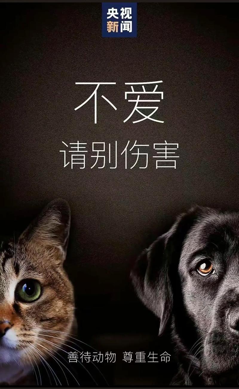 animal idioms expressions_squirrel是什么意思_funny animal idioms