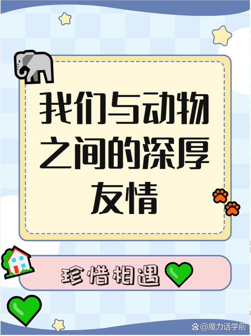 squirrel是什么意思_funny animal idioms_animal idioms expressions