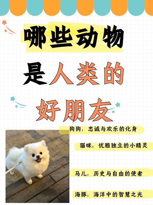 funny animal idioms_squirrel是什么意思_animal idioms expressions