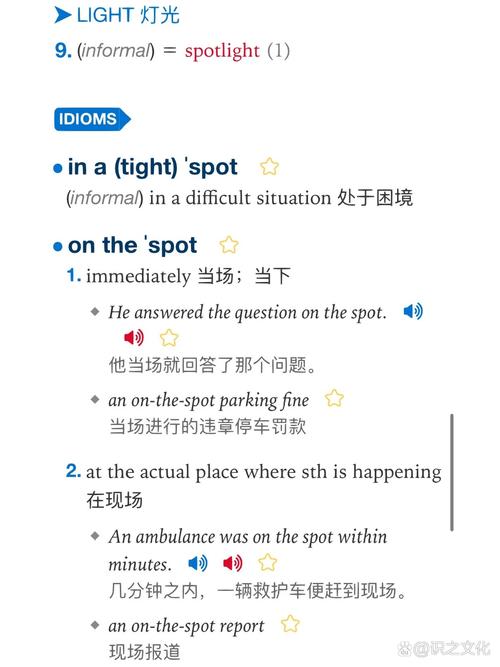 spot作動詞用法_spot作名詞用法_spot是什么意思