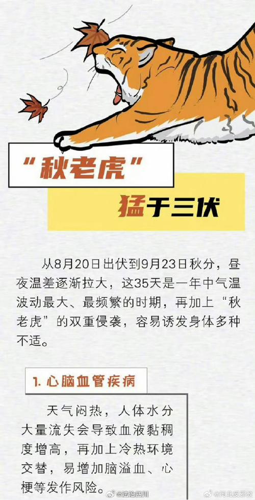 tiger是什么意思_chinese weather terms in english_chinese idioms translation