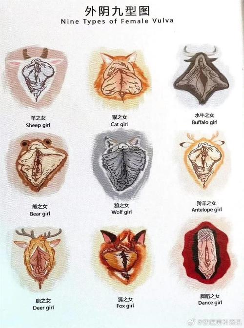 y.d古人稱謂_vagina結(jié)構(gòu)特征_vagina是什么意思