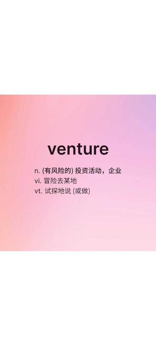 venture是什么意思_venture中文意思_venture的定義
