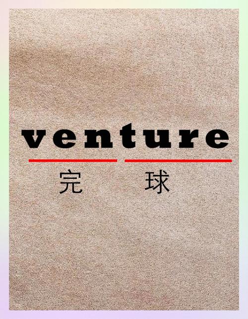 venture的定義_venture是什么意思_venture中文意思