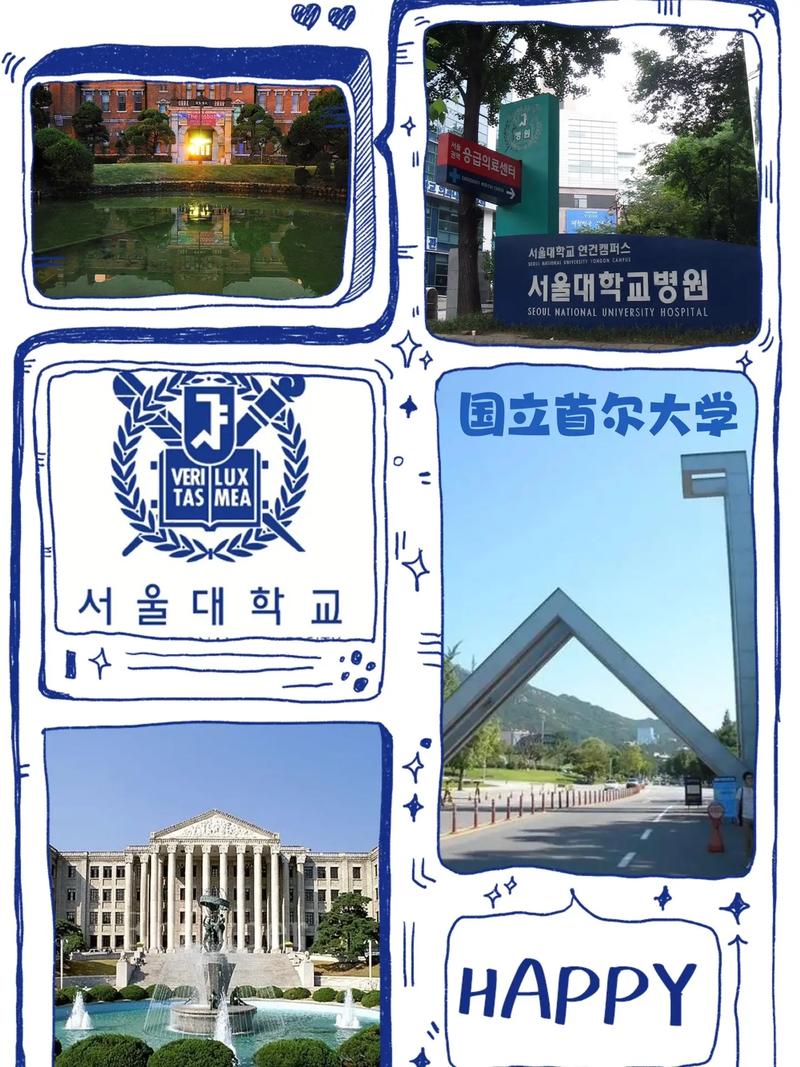 韓國人考入首爾大學難度_首爾大學_首爾大學錄取率