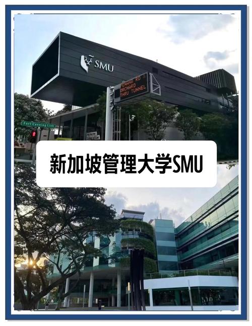 新加坡國立大學(xué)世界排名_新加坡理工學(xué)院專業(yè)排名_新加坡大學(xué)排名