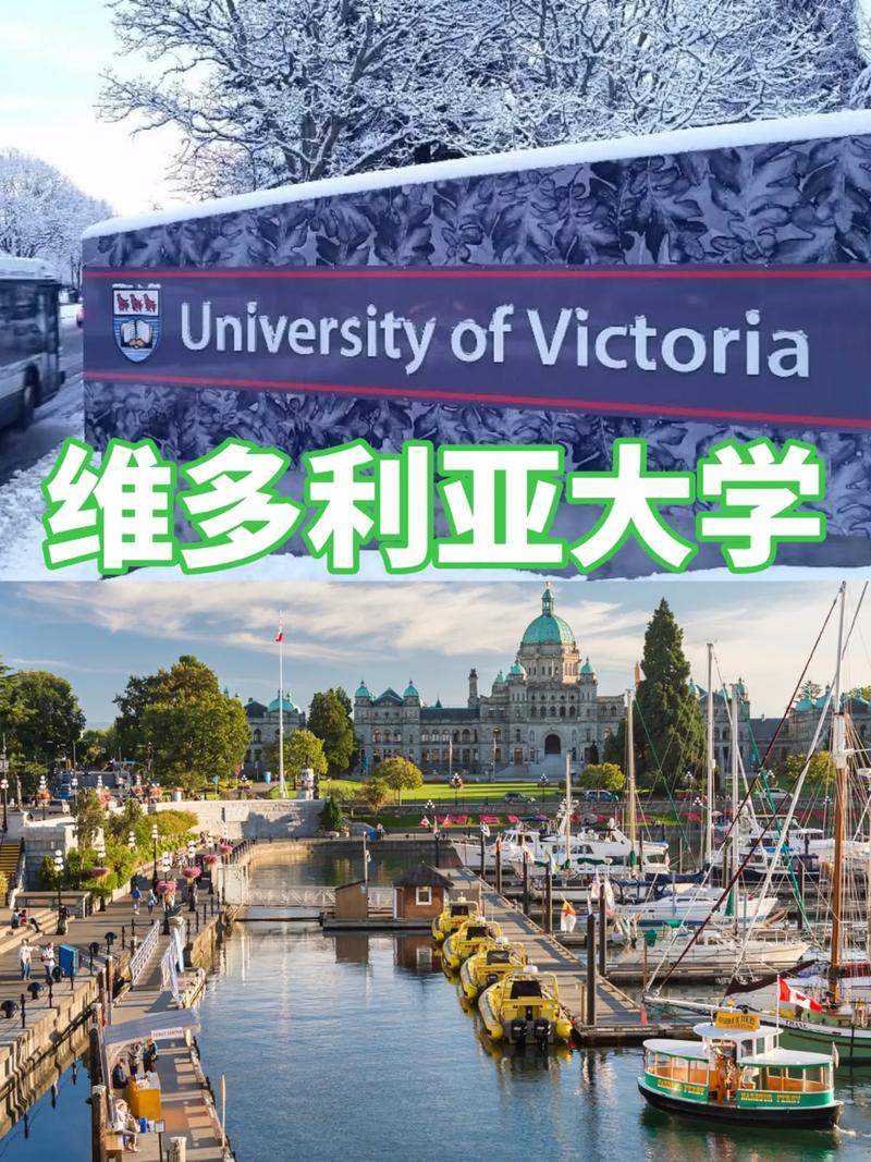 瑞士維多利亞大學認證查詢_瑞士維多利亞大學是野雞大學_瑞士維多利亞大學