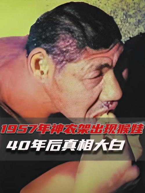 克隆猴子_猴子用英文怎么說(shuō)_黑猩猩使用工具