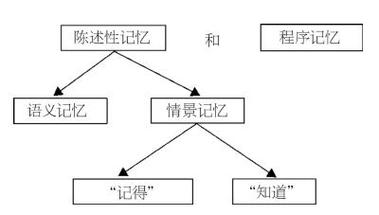 陳述性記憶_記憶力的英文_記憶類型
