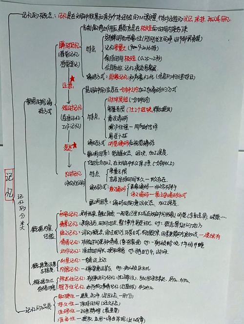陳述性記憶_記憶類型_記憶力的英文