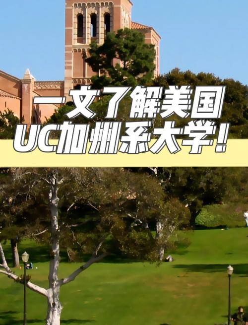 虛假學歷認證_野雞大學_美國野雞大學