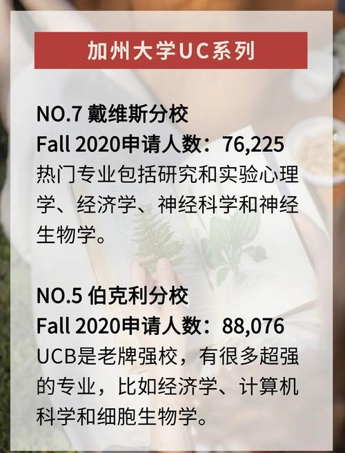 虛假學歷認證_野雞大學_美國野雞大學