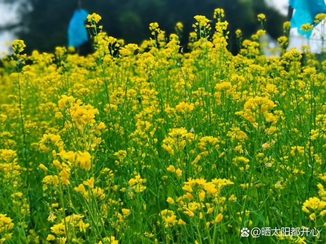 驚喜用英文怎么說_生活中的驚喜_驚喜的瞬間