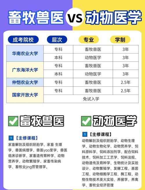 梅西大學獸醫專業排名_梅西大學官網_梅西大學獸醫專業課程設置