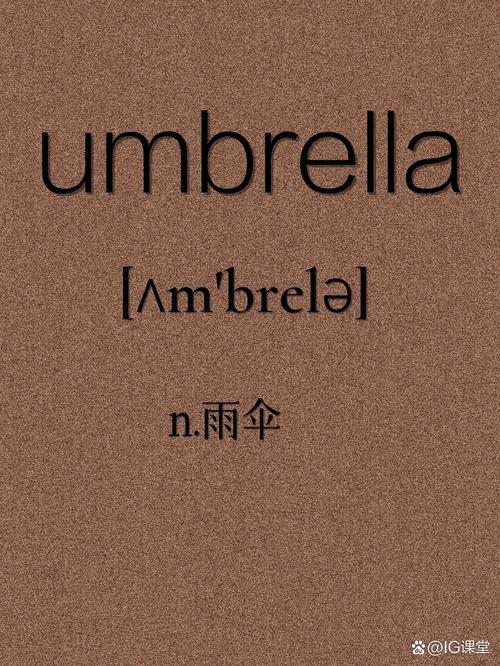 帽子英文翻譯_雨傘的英文表達_合用雨傘的英文