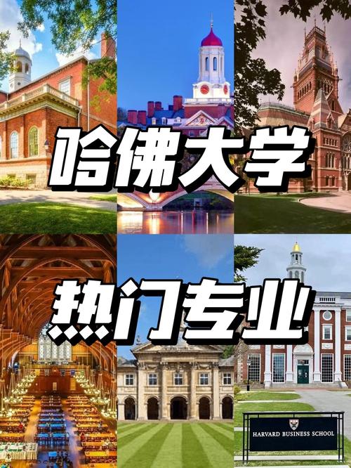美國名牌大學_美國十大名牌大學排行榜_哈佛大學耶魯大學麻省理工學院