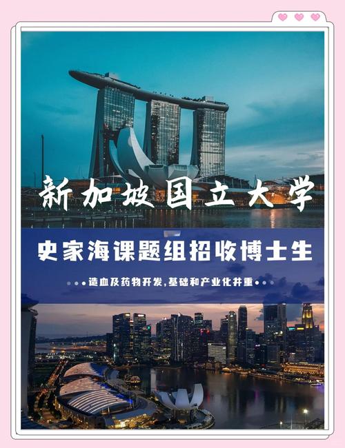 新加坡國(guó)立大學(xué)醫(yī)院_新加坡國(guó)立大學(xué)藥物設(shè)計(jì)與開發(fā)項(xiàng)目報(bào)名_新加坡國(guó)立大學(xué)藥物設(shè)計(jì)與開發(fā)項(xiàng)目時(shí)間