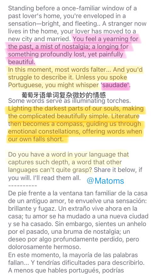 中文之美_英譯中在線翻譯_電影字幕翻譯絕美