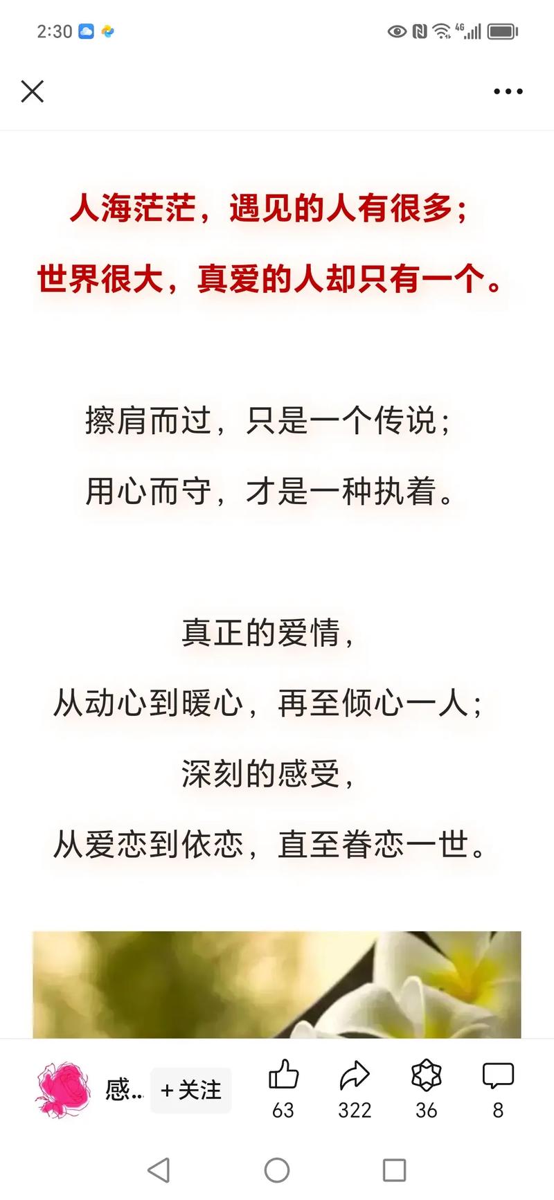 有情人終成眷屬英文_有情人終成眷屬_愛情經營與分享