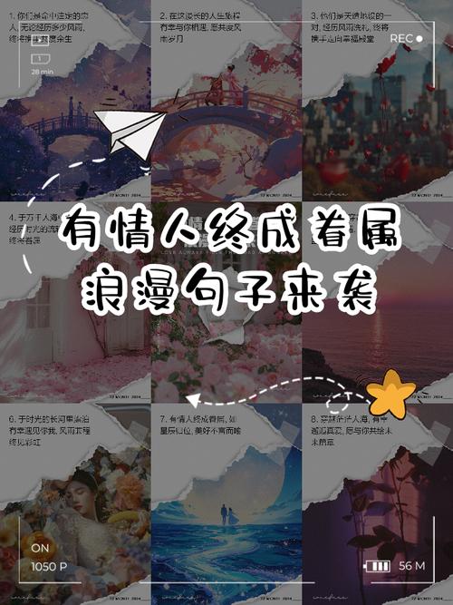 愛情經營與分享_有情人終成眷屬_有情人終成眷屬英文