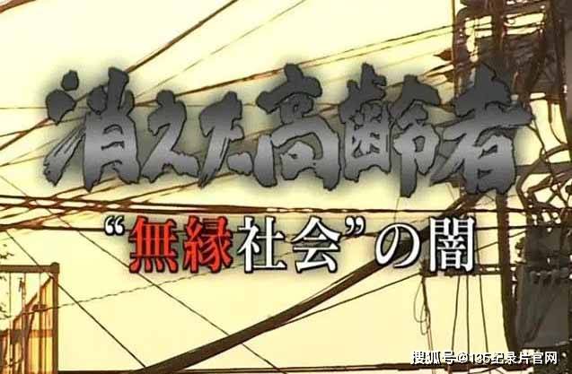 在線英語翻譯漢語_外語紀(jì)錄片字幕翻譯_vivoAI字幕翻譯軟件