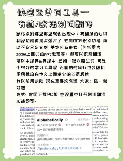 英語翻譯軟件哪個好用_在線中文翻譯英文_英語文檔翻譯中文