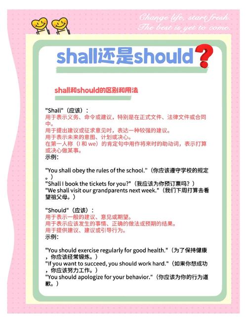 also的用法_also什么意思_also在句中的位置