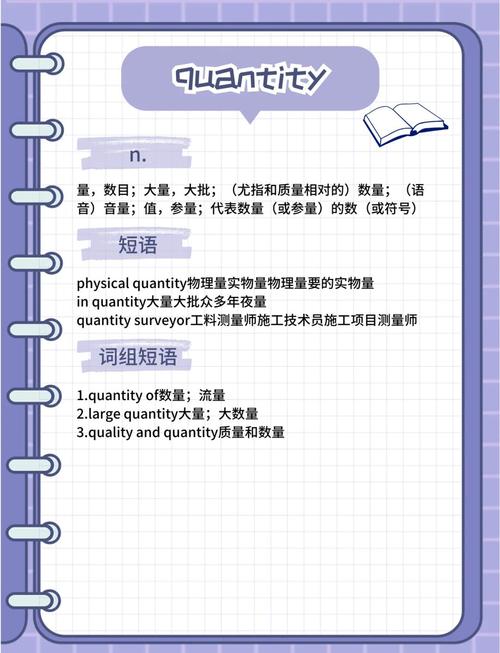 difference between amount and quantity in english_amount vs quantity meaning and usage_amount什么意思