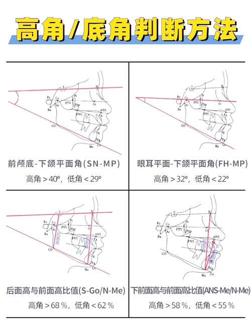 angle in geometry_angle definition and meaning_angle什么意思
