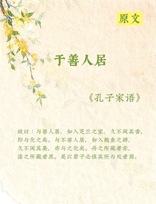 elegant是什么意思_典雅的定義_典雅的意思