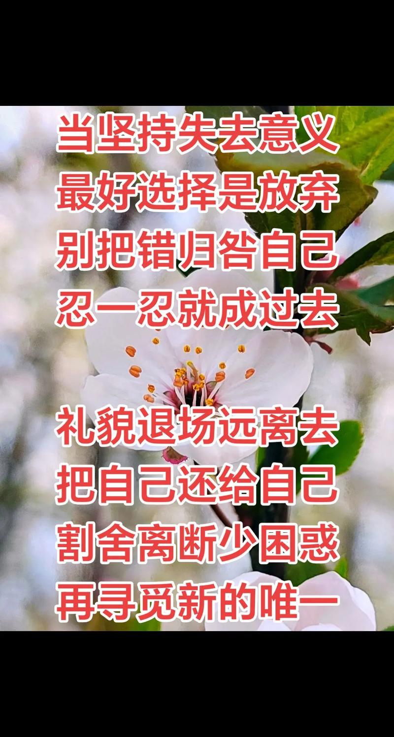 選擇理解接受同情打破循環(huán)_forgive是什么意思_放下過(guò)去原諒自己向前看