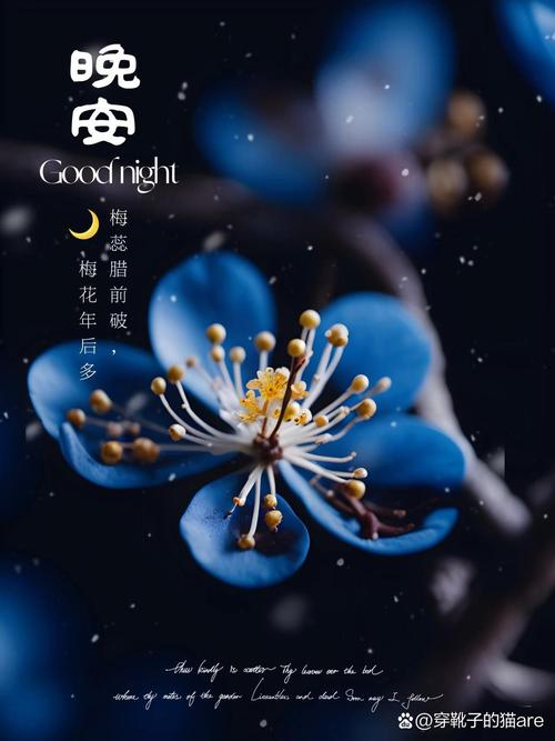 be with you_good night什么意思_always waiting for you