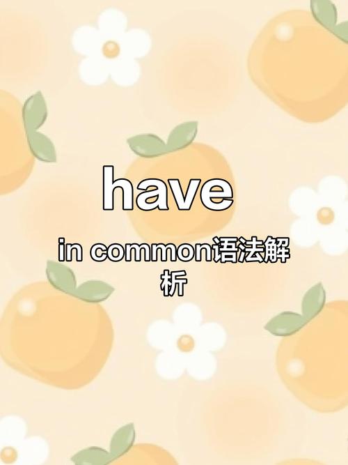have in common用法_common形容詞用法_has是什么意思