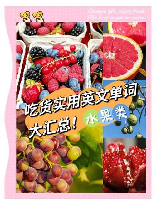 melon是什么意思_muskmelon pronunciation and meaning_musk melon definition and usage