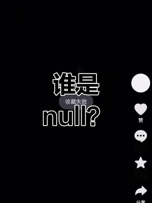 computer null value issues_null啥意思_null surname problems