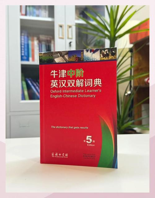 birth meaning in english_perth是什么意思_birth dictionary definition