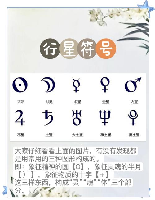 planet是什么意思_plant招財擺放位置_planet meaning in English