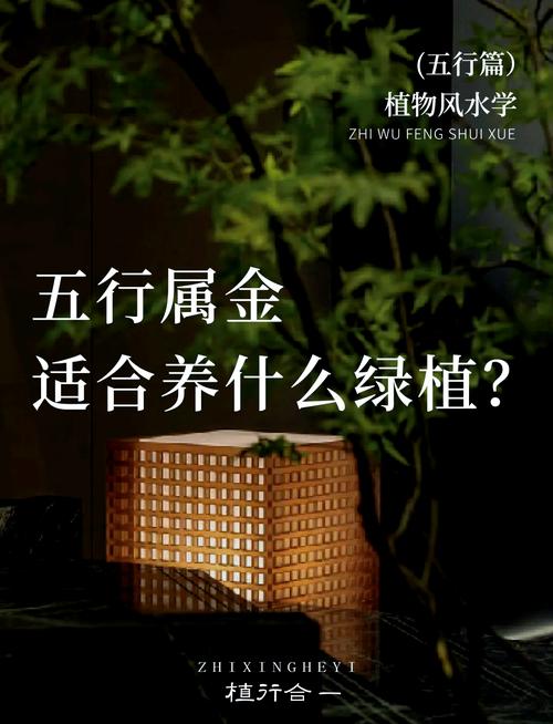 planet是什么意思_plant招財擺放位置_planet meaning in English