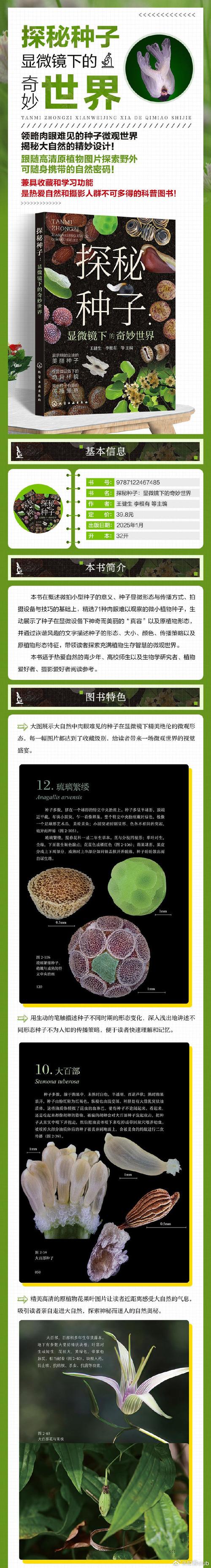seed常見釋義 種子子孫起源 網球比賽種子選手_seed是什么意思