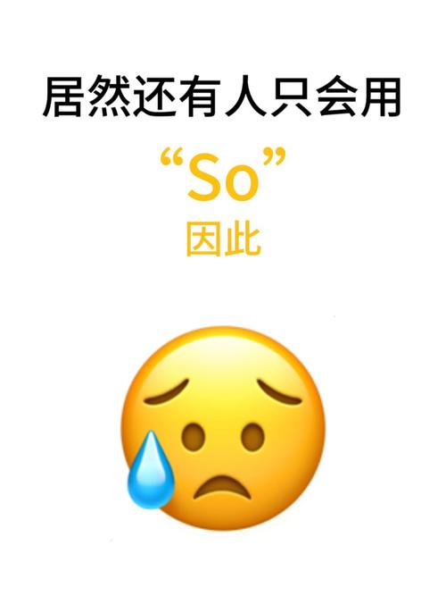 母so的意思_solo什么意思中文_母so常用語