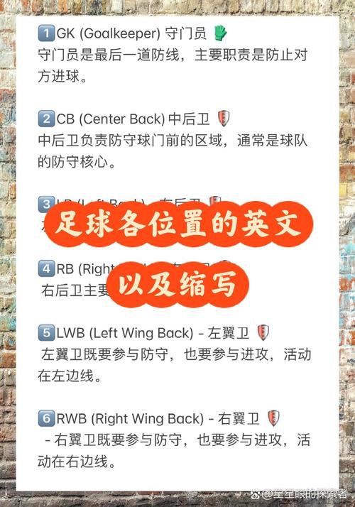 stadium 英文翻譯 體育場 詞典釋義_stadium 含義及用法_stadium是什么意思