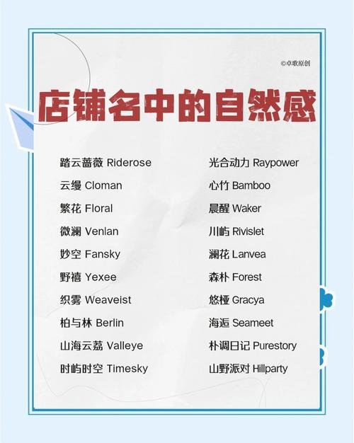 shop meaning_store是什么意思_shopping definition