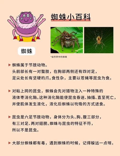 spider 網絡爬蟲 搜索引擎抓取程序_spider是什么意思